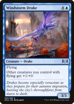 Windstorm Drake (RNA-060) - Ravnica Allegiance