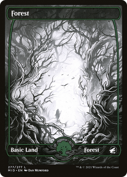 Forest (277) (MID-277) - Innistrad: Midnight Hunt: (Full Art, Showcase)