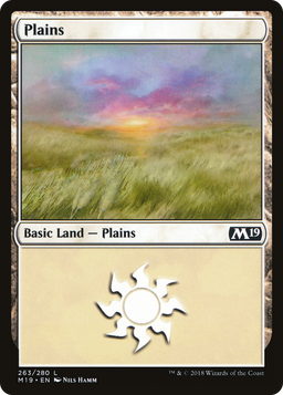 Plains (263) (M19-263) - Core Set 2019 Foil