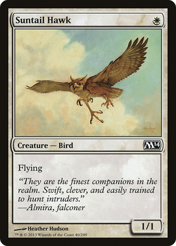 Suntail Hawk (M14-040) - Magic 2014