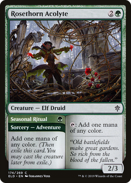 Rosethorn Acolyte (ELD-174) - Throne of Eldraine