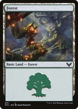 Forest (375) (STX-375) - Strixhaven: School of Mages