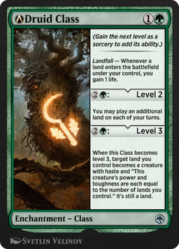 A-Druid Class (AFR-A-180) - Adventures in the Forgotten Realms