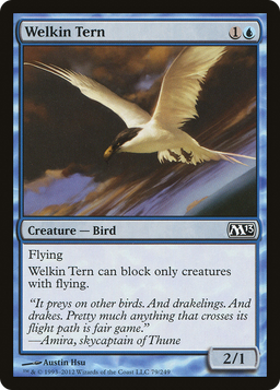 Welkin Tern (M13-079) - Magic 2013