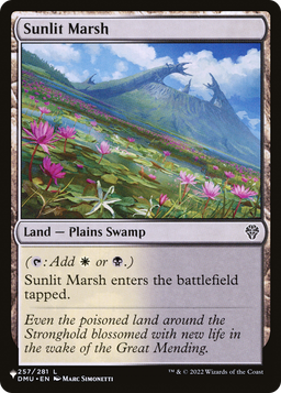 Sunlit Marsh (LIST-DMU-257) - The List